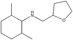 2,6-dimethyl-N-(oxolan-2-ylmethyl)cyclohexan-1-amine Structure