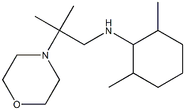 2,6-dimethyl-N-[2-methyl-2-(morpholin-4-yl)propyl]cyclohexan-1-amine 구조식 이미지