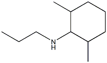2,6-dimethyl-N-propylcyclohexan-1-amine 구조식 이미지