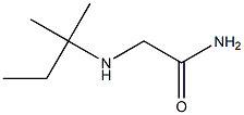 2-[(2-methylbutan-2-yl)amino]acetamide Structure