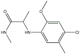 2-[(4-chloro-2-methoxy-5-methylphenyl)amino]-N-methylpropanamide 구조식 이미지