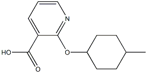 2-[(4-methylcyclohexyl)oxy]pyridine-3-carboxylic acid Structure
