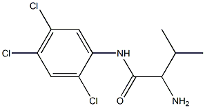 2-amino-3-methyl-N-(2,4,5-trichlorophenyl)butanamide Structure