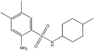 2-amino-4,5-dimethyl-N-(4-methylcyclohexyl)benzene-1-sulfonamide Structure