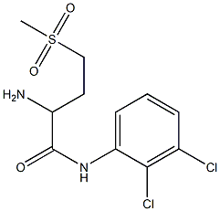 2-amino-N-(2,3-dichlorophenyl)-4-methanesulfonylbutanamide Structure