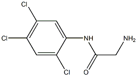 2-amino-N-(2,4,5-trichlorophenyl)acetamide Structure