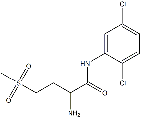 2-amino-N-(2,5-dichlorophenyl)-4-methanesulfonylbutanamide Structure