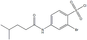 2-bromo-4-(4-methylpentanamido)benzene-1-sulfonyl chloride Structure