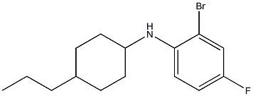 2-bromo-4-fluoro-N-(4-propylcyclohexyl)aniline 구조식 이미지