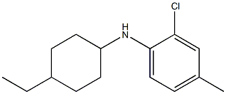 2-chloro-N-(4-ethylcyclohexyl)-4-methylaniline Structure