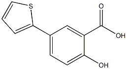 2-hydroxy-5-thien-2-ylbenzoic acid Structure