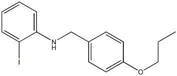 2-iodo-N-[(4-propoxyphenyl)methyl]aniline 구조식 이미지