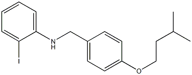 2-iodo-N-{[4-(3-methylbutoxy)phenyl]methyl}aniline 구조식 이미지