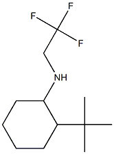 2-tert-butyl-N-(2,2,2-trifluoroethyl)cyclohexan-1-amine 구조식 이미지