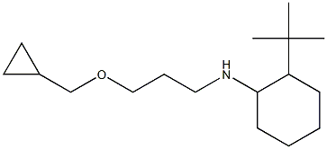 2-tert-butyl-N-[3-(cyclopropylmethoxy)propyl]cyclohexan-1-amine Structure