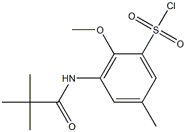 3-(2,2-dimethylpropanamido)-2-methoxy-5-methylbenzene-1-sulfonyl chloride 구조식 이미지
