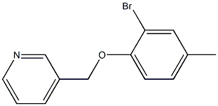 3-(2-bromo-4-methylphenoxymethyl)pyridine Structure