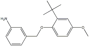 3-(2-tert-butyl-4-methoxyphenoxymethyl)aniline 구조식 이미지