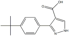 3-(4-tert-butylphenyl)-1H-pyrazole-4-carboxylic acid 구조식 이미지