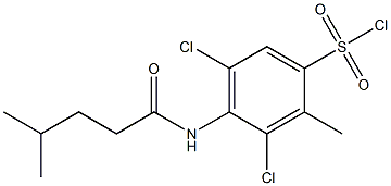 3,5-dichloro-2-methyl-4-(4-methylpentanamido)benzene-1-sulfonyl chloride 구조식 이미지