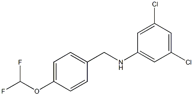 3,5-dichloro-N-{[4-(difluoromethoxy)phenyl]methyl}aniline 구조식 이미지