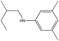 3,5-dimethyl-N-(2-methylbutyl)aniline Structure