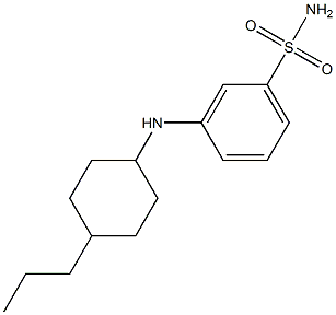 3-[(4-propylcyclohexyl)amino]benzene-1-sulfonamide Structure