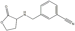 3-{[(2-oxooxolan-3-yl)amino]methyl}benzonitrile 구조식 이미지