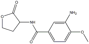 3-amino-4-methoxy-N-(2-oxooxolan-3-yl)benzamide 구조식 이미지