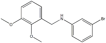 3-bromo-N-[(2,3-dimethoxyphenyl)methyl]aniline 구조식 이미지