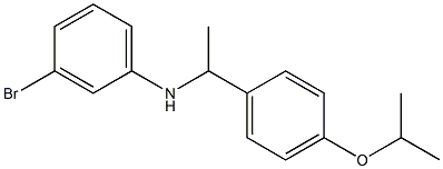 3-bromo-N-{1-[4-(propan-2-yloxy)phenyl]ethyl}aniline 구조식 이미지