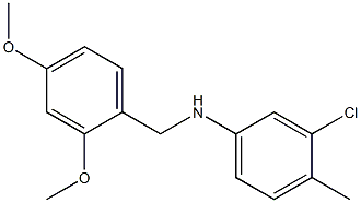 3-chloro-N-[(2,4-dimethoxyphenyl)methyl]-4-methylaniline Structure