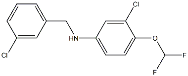 3-chloro-N-[(3-chlorophenyl)methyl]-4-(difluoromethoxy)aniline 구조식 이미지