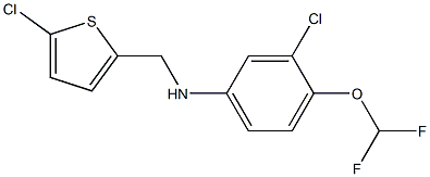 3-chloro-N-[(5-chlorothiophen-2-yl)methyl]-4-(difluoromethoxy)aniline Structure