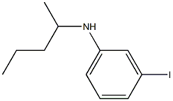 3-iodo-N-(pentan-2-yl)aniline Structure