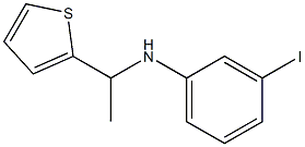 3-iodo-N-[1-(thiophen-2-yl)ethyl]aniline Structure