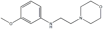 3-methoxy-N-[2-(morpholin-4-yl)ethyl]aniline 구조식 이미지