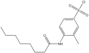 3-methyl-4-octanamidobenzene-1-sulfonyl chloride Structure