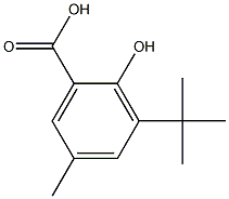 3-tert-butyl-2-hydroxy-5-methylbenzoic acid 구조식 이미지