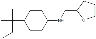 4-(2-methylbutan-2-yl)-N-(oxolan-2-ylmethyl)cyclohexan-1-amine 구조식 이미지