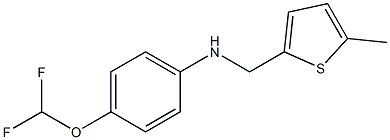 4-(difluoromethoxy)-N-[(5-methylthiophen-2-yl)methyl]aniline 구조식 이미지