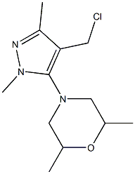 4-[4-(chloromethyl)-1,3-dimethyl-1H-pyrazol-5-yl]-2,6-dimethylmorpholine 구조식 이미지