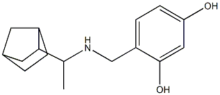 4-{[(1-{bicyclo[2.2.1]heptan-2-yl}ethyl)amino]methyl}benzene-1,3-diol 구조식 이미지