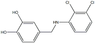 4-{[(2,3-dichlorophenyl)amino]methyl}benzene-1,2-diol 구조식 이미지