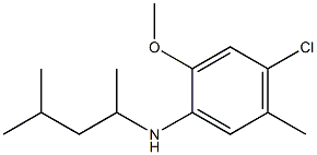4-chloro-2-methoxy-5-methyl-N-(4-methylpentan-2-yl)aniline Structure