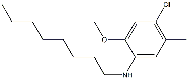 4-chloro-2-methoxy-5-methyl-N-octylaniline Structure