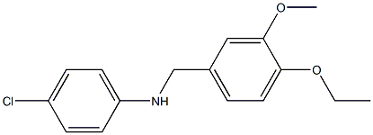 4-chloro-N-[(4-ethoxy-3-methoxyphenyl)methyl]aniline 구조식 이미지