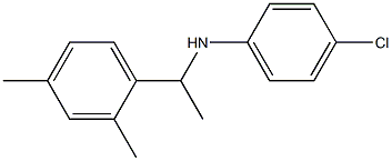 4-chloro-N-[1-(2,4-dimethylphenyl)ethyl]aniline 구조식 이미지