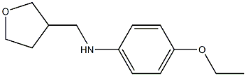 4-ethoxy-N-(oxolan-3-ylmethyl)aniline Structure