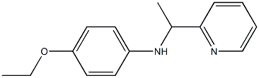 4-ethoxy-N-[1-(pyridin-2-yl)ethyl]aniline 구조식 이미지